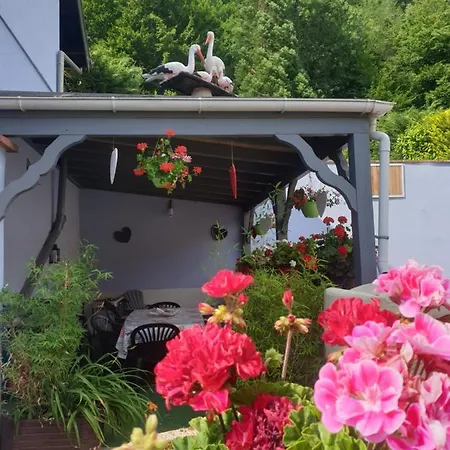 Au Nid De La Foret Bœrsch Extérieur photo