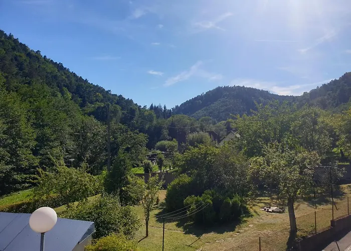 Au Nid De La Foret