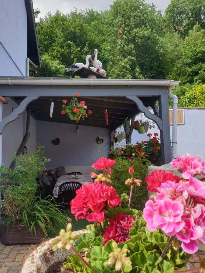 Hébergement de vacances Au Nid De La Foret *