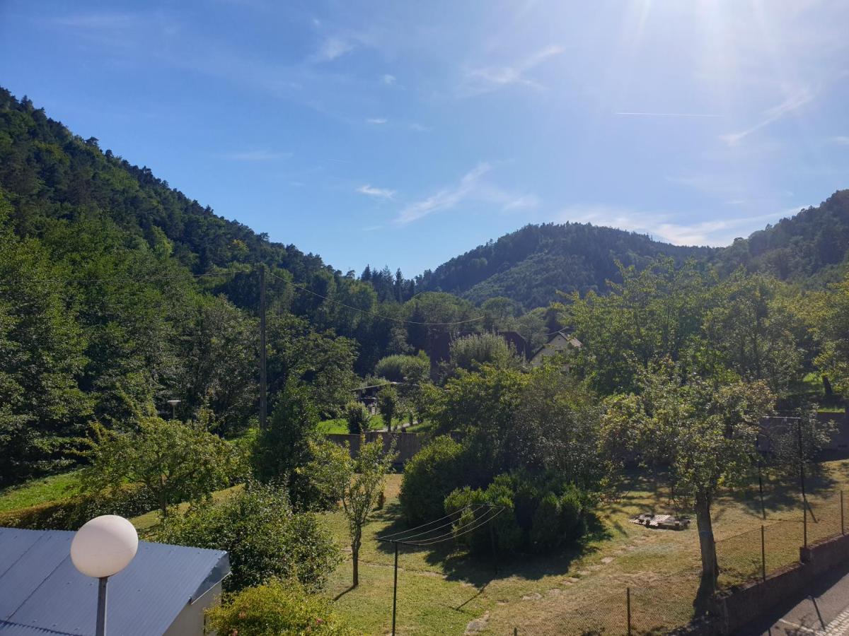 Hébergement de vacances Au Nid De La Foret
