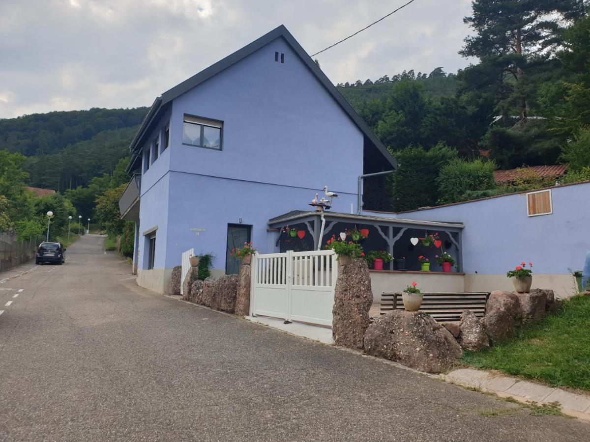 Hébergement de vacances Au Nid De La Foret