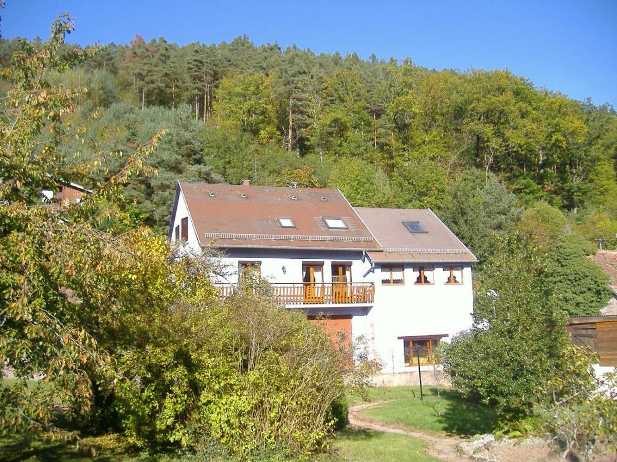 Hébergement de vacances Au Nid De La Foret *